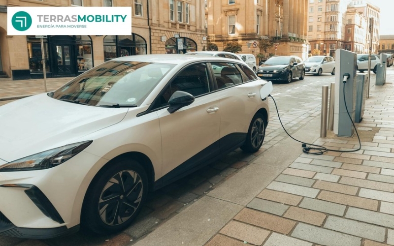 terras-conecta-areas-de-negocio-8