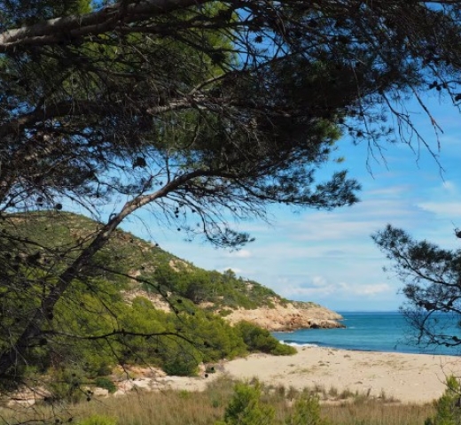 terras-conecta-casa-hospitalet-del-infant-imagen-poblacion