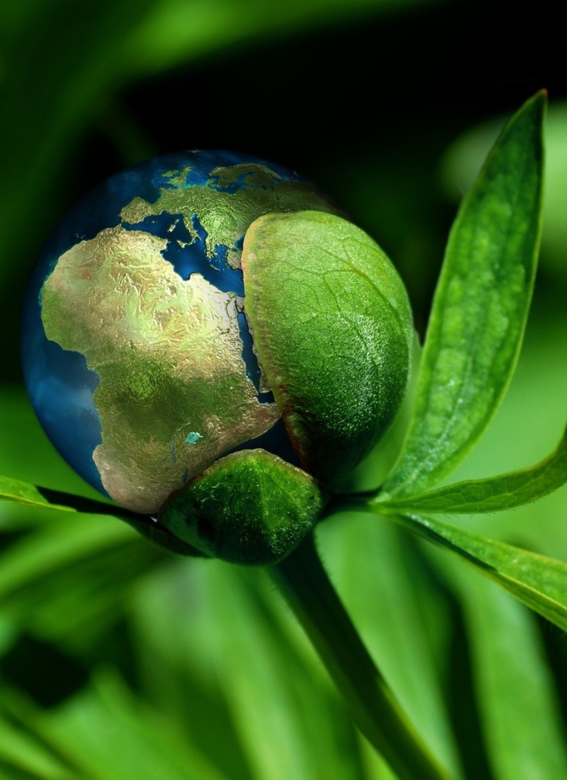 terras-conecta-instalaciones-fotovoltaicas-2