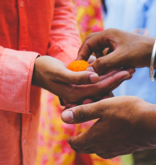 terras-conecta-sobre-terras-conecta-9